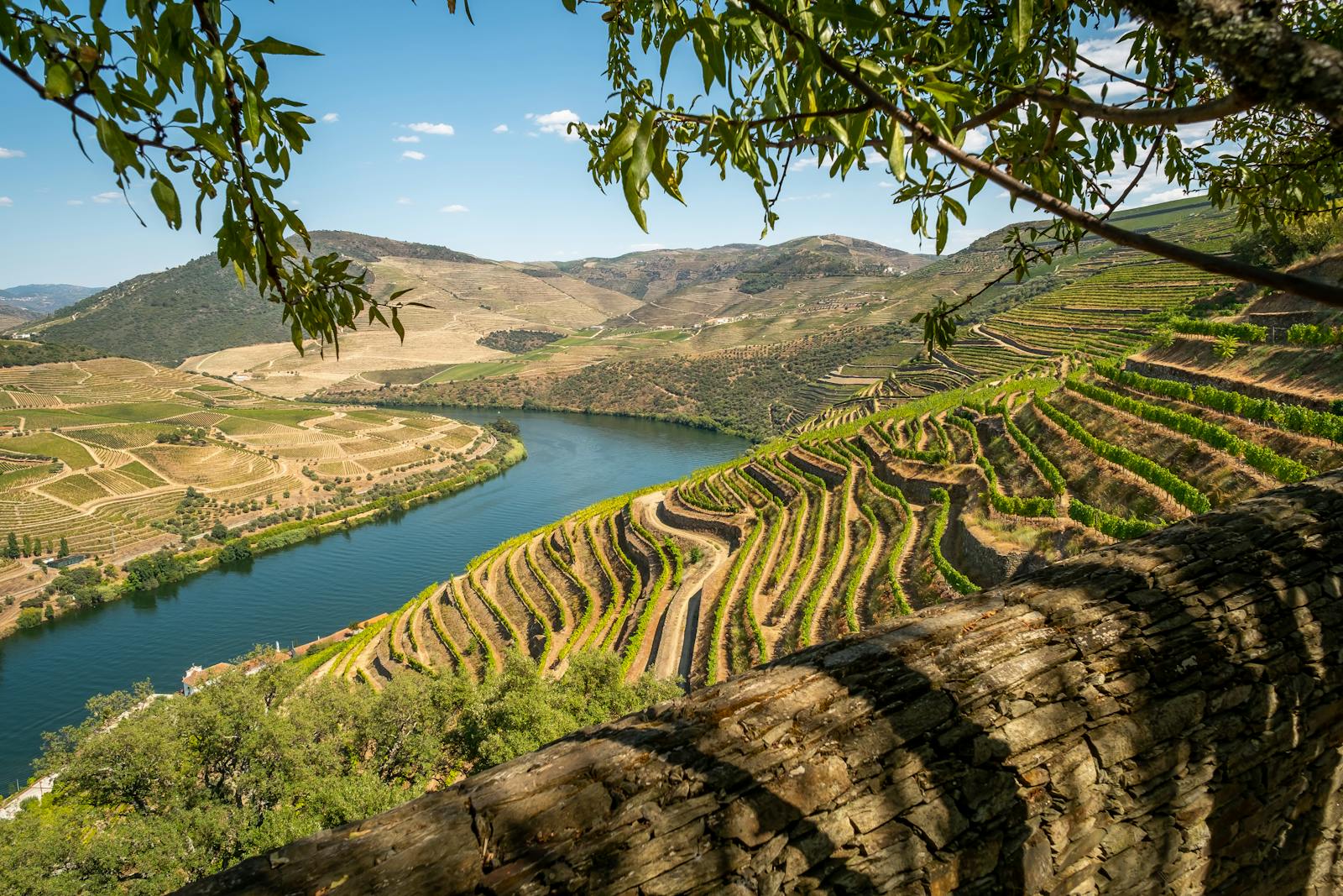 Beautiful terraced vineyards and river landscape in Toro, Spain, showcasing agriculture and natural beauty.